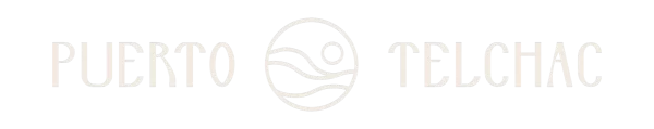 PUERTO-TELCHAC-LOGOTIPO-HORIZONTAL-VO2-BLANCO-2 (1)